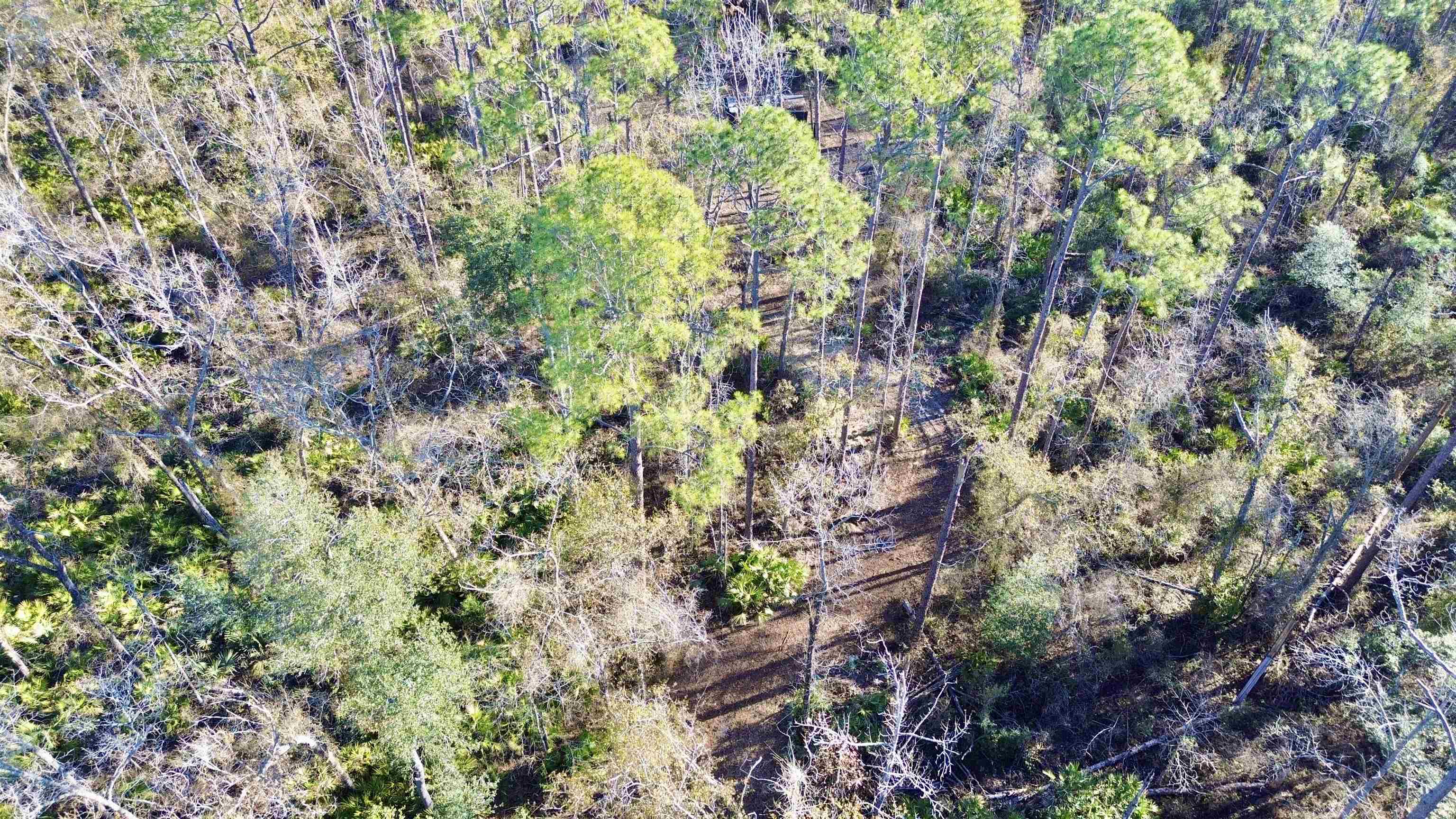 465 Northeast River Ridge Way Lee, FL 32059 - Photo 13 of 30