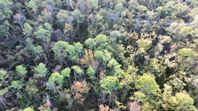 $35,000 | 465 Northeast River Ridge Way, Lee, FL 32059