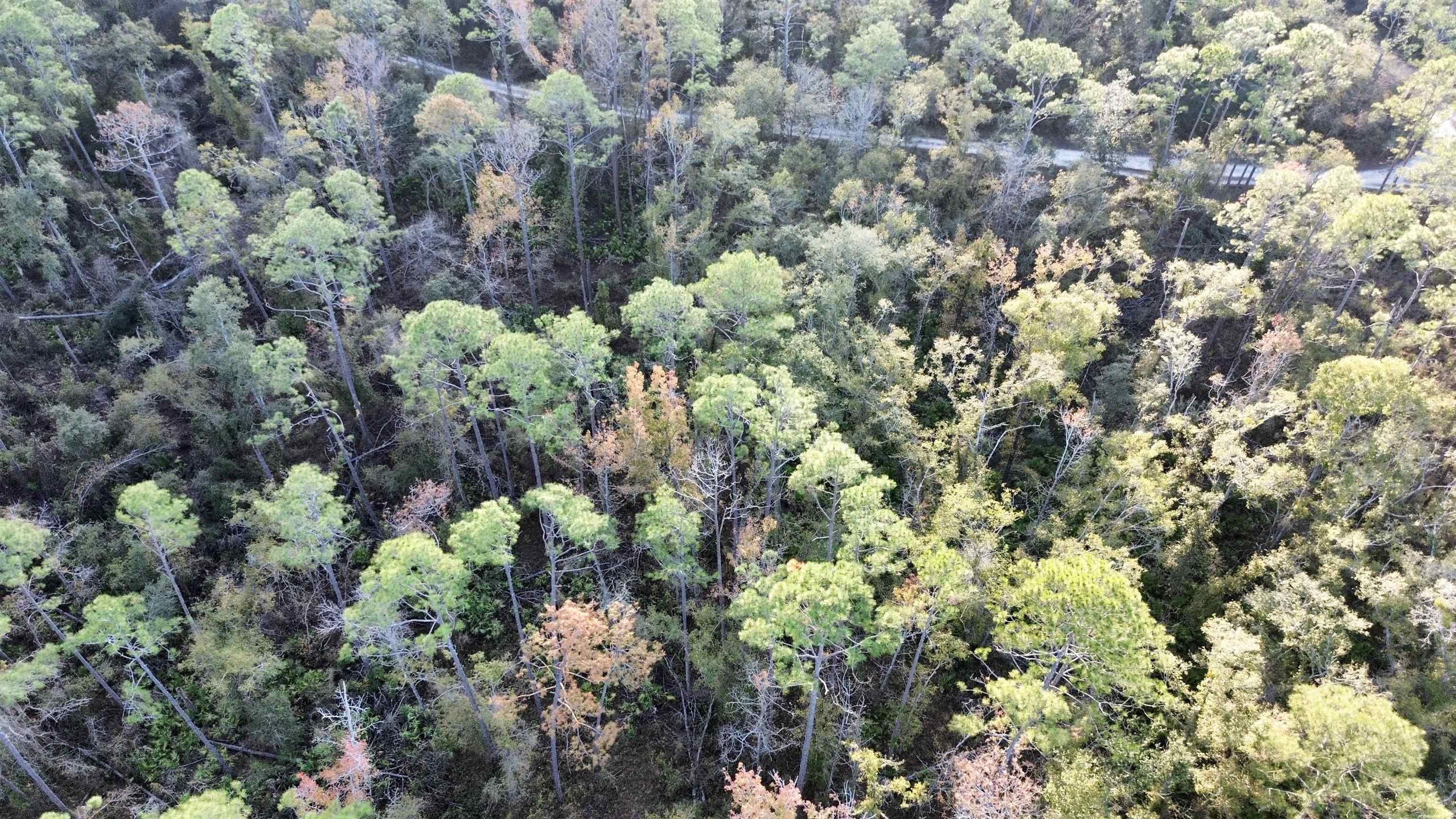 465 Northeast River Ridge Way Lee, FL 32059 - Photo 13 of 31