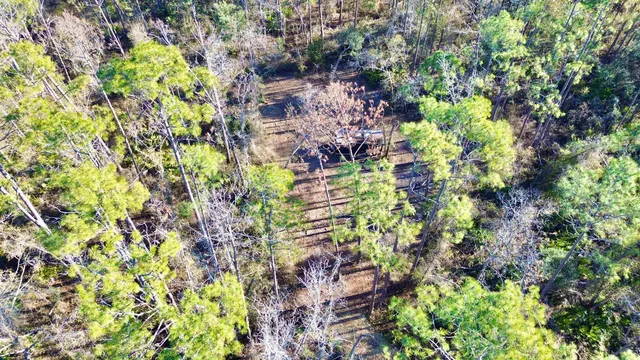 $35,000 | 465 Northeast River Ridge Way, Lee, FL 32059