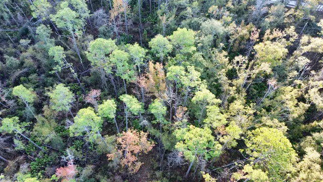 $35,000 | 465 Northeast River Ridge Way, Lee, FL 32059