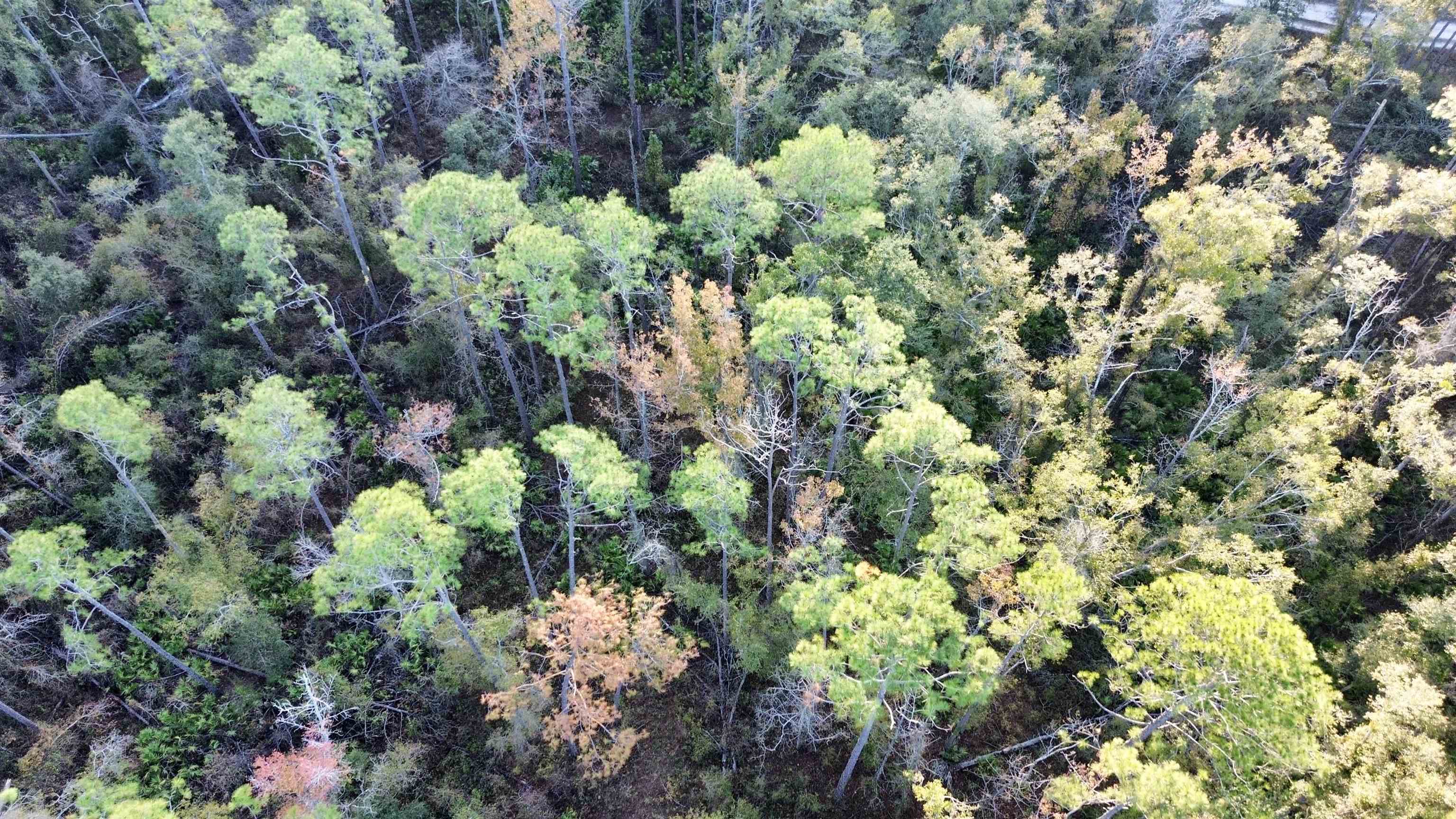 465 Northeast River Ridge Way Lee, FL 32059 - Photo 14 of 31