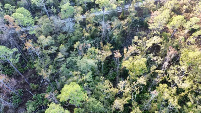 $35,000 | 465 Northeast River Ridge Way, Lee, FL 32059