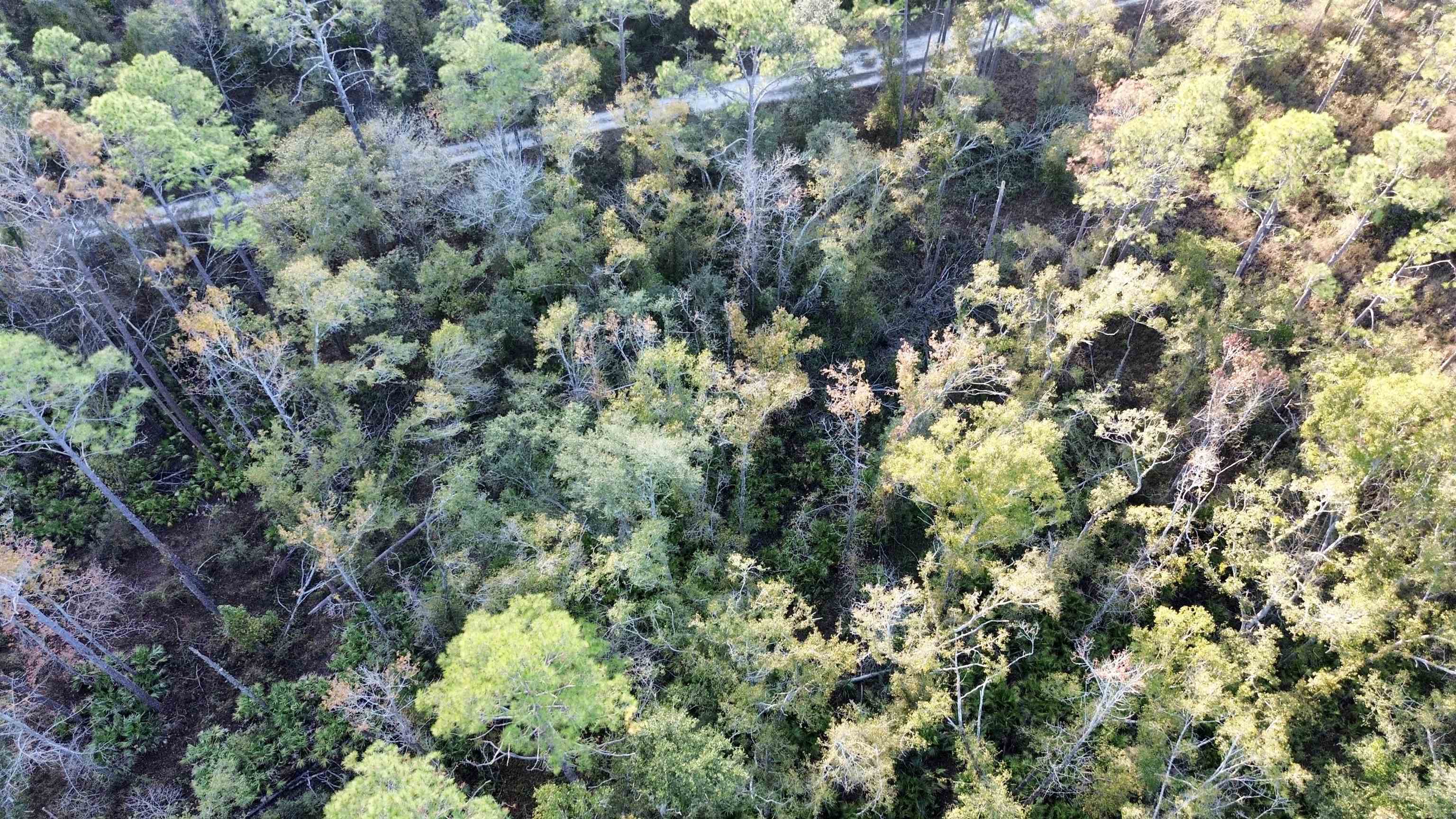 465 Northeast River Ridge Way Lee, FL 32059 - Photo 15 of 31