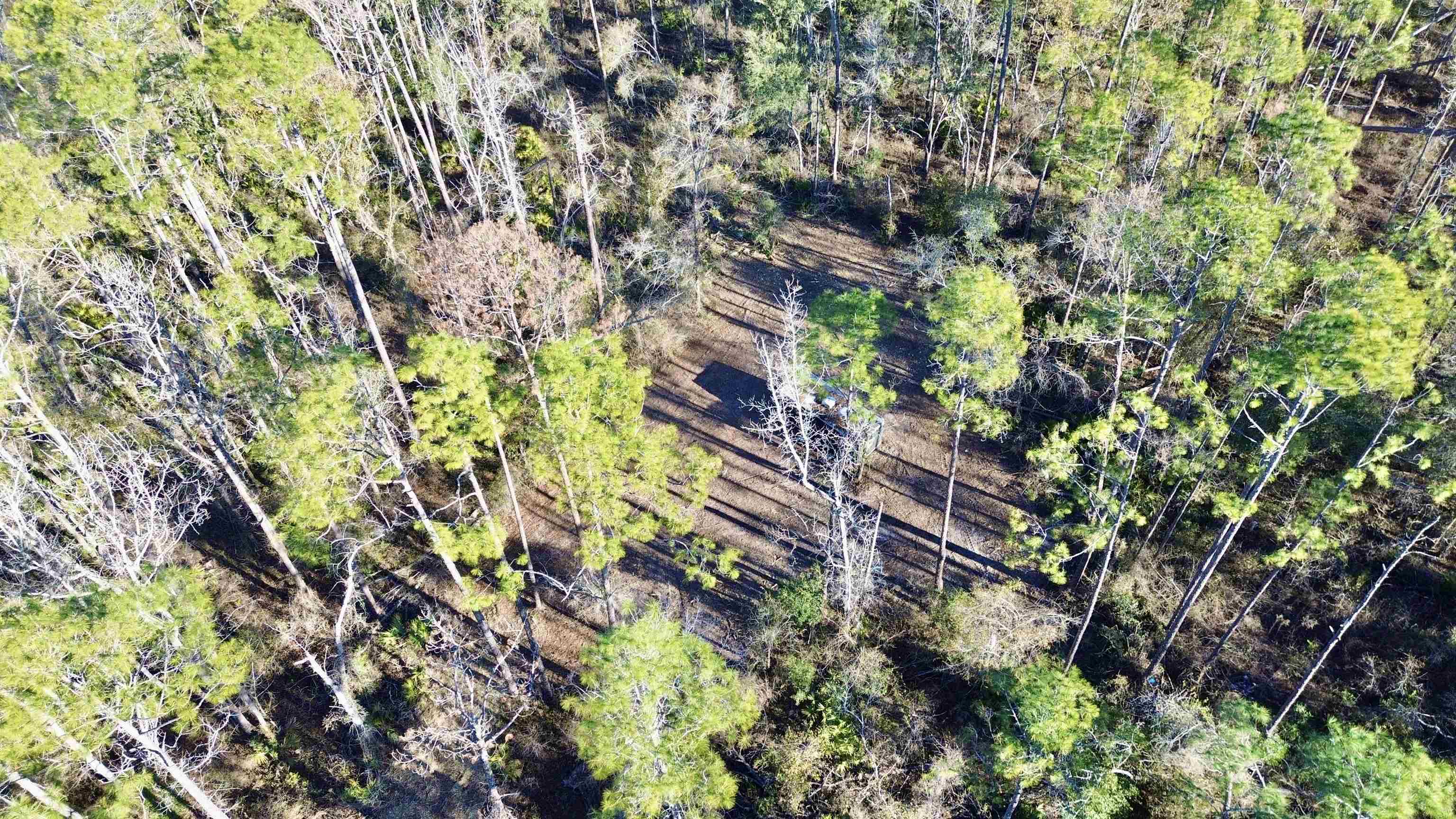 465 Northeast River Ridge Way Lee, FL 32059 - Photo 15 of 30