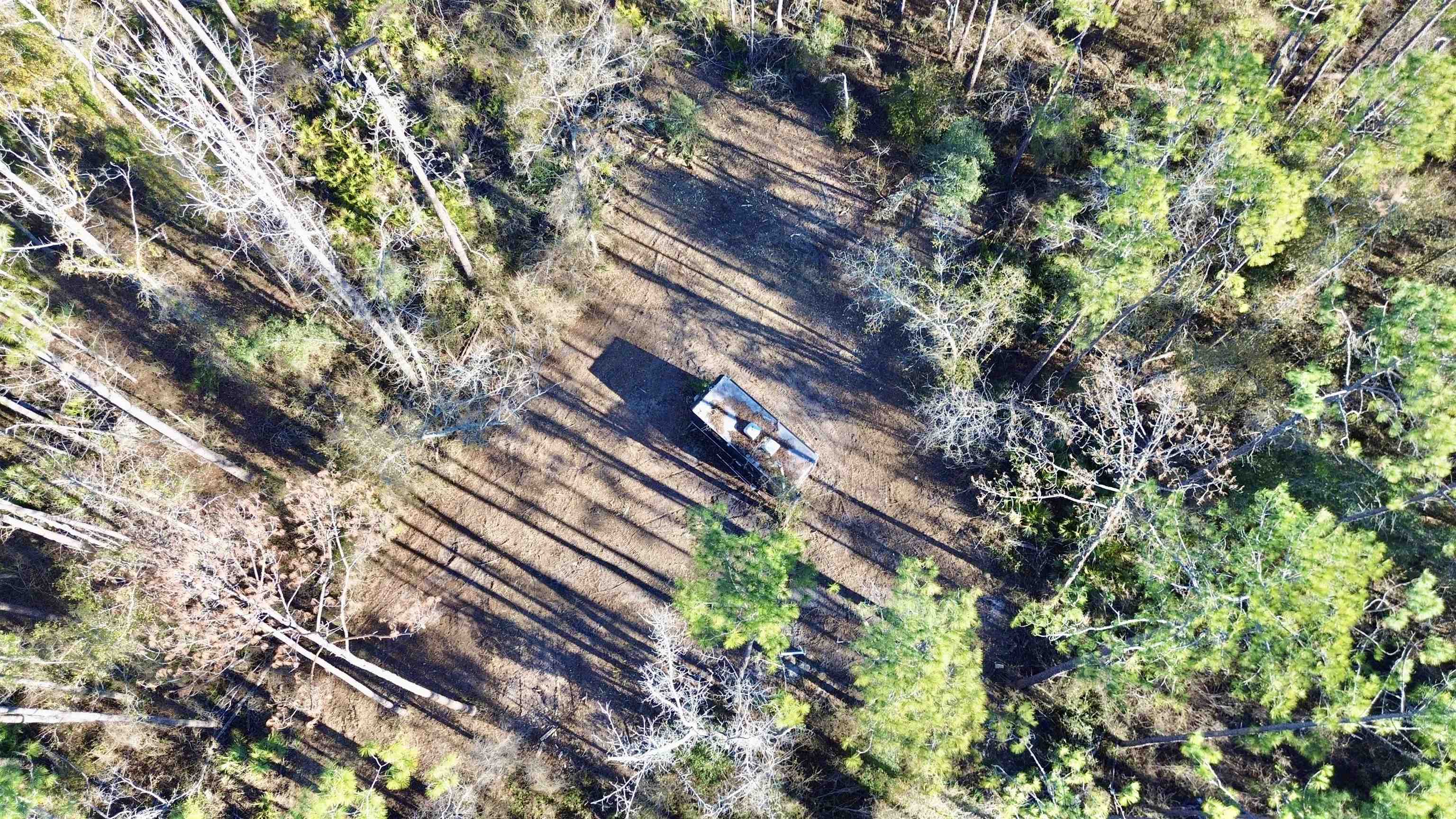 465 Northeast River Ridge Way Lee, FL 32059 - Photo 16 of 30