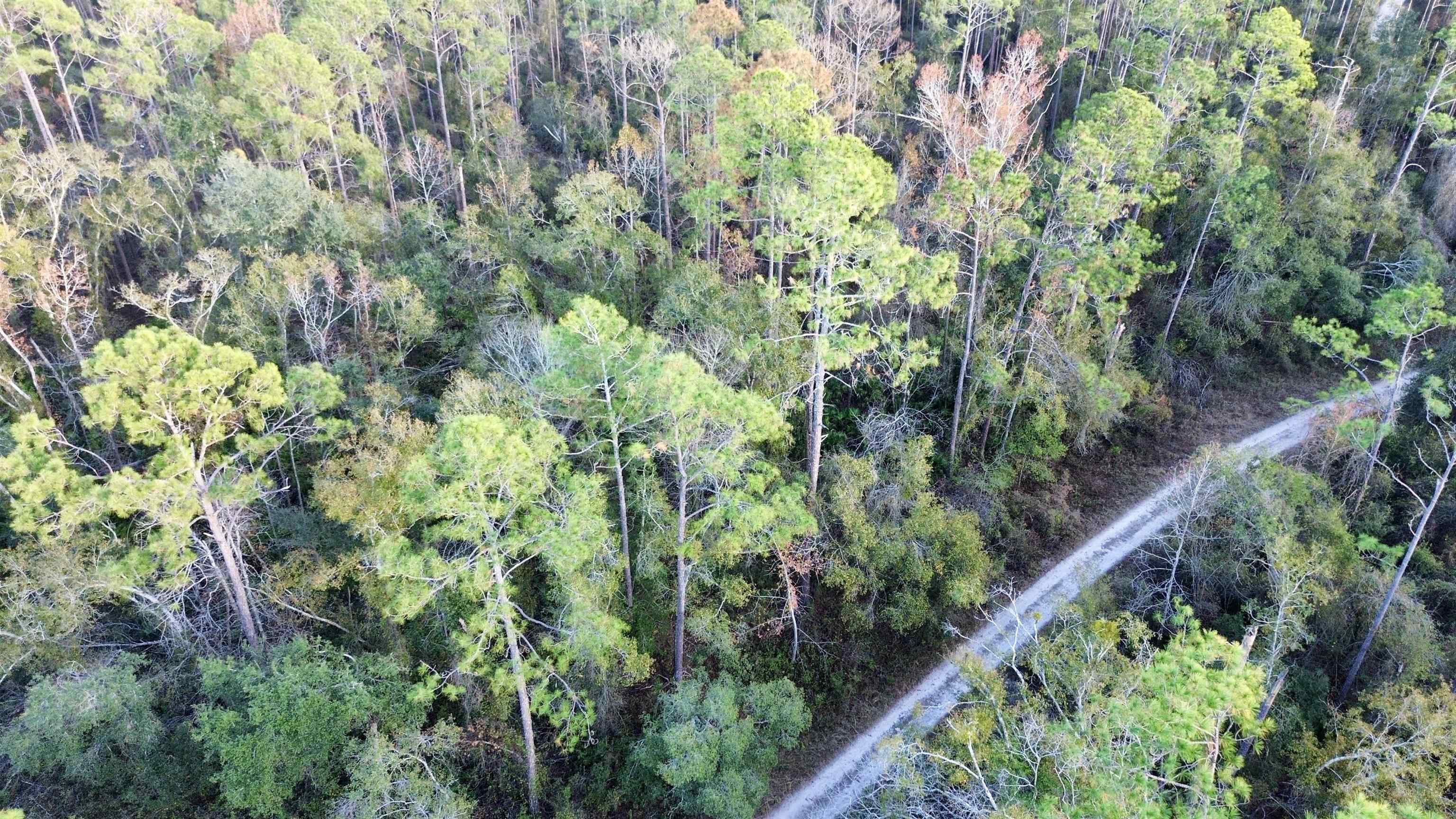 465 Northeast River Ridge Way Lee, FL 32059 - Photo 17 of 31