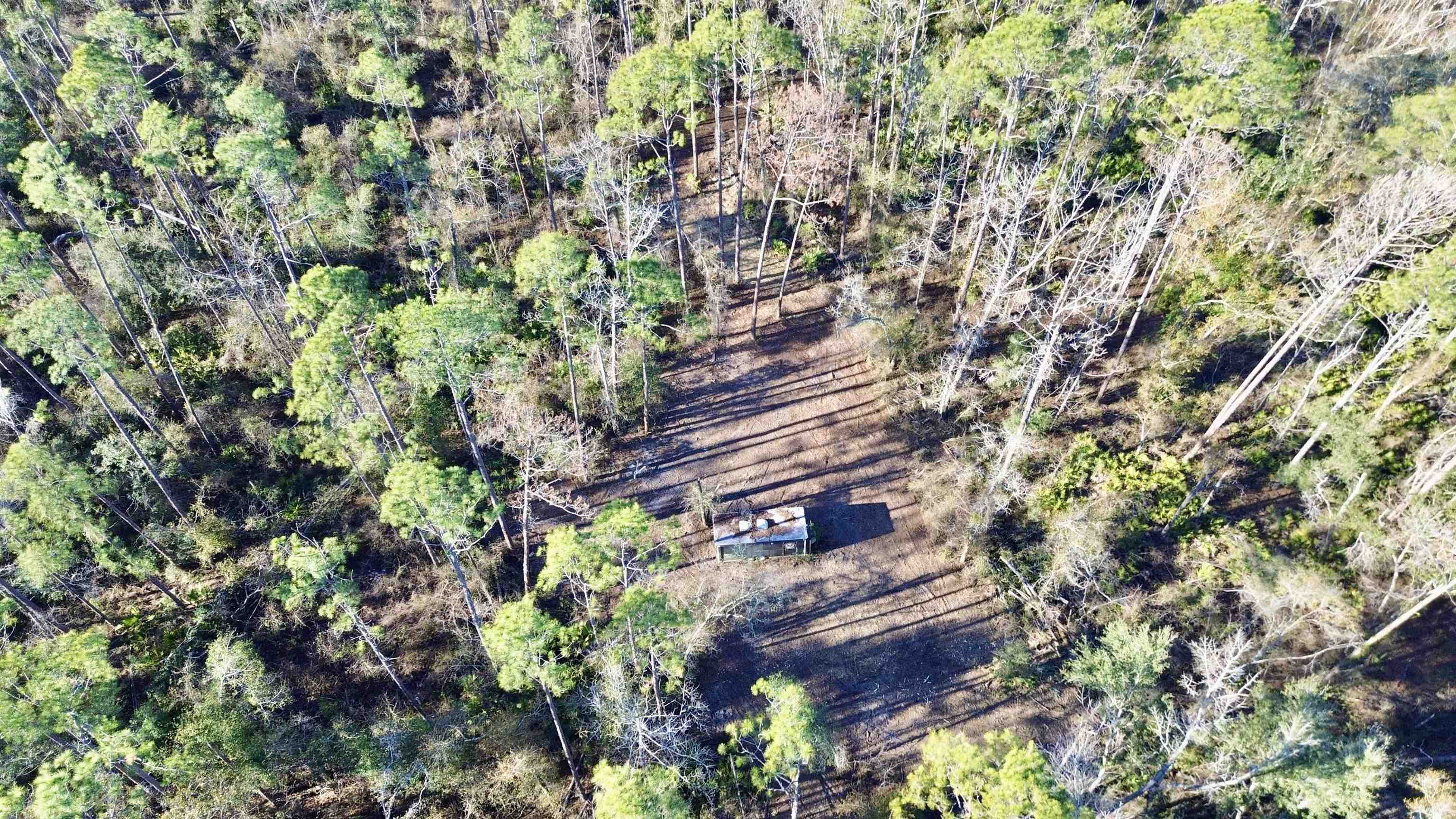 465 Northeast River Ridge Way Lee, FL 32059 - Photo 17 of 30