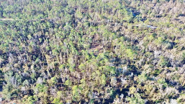 $35,000 | 465 Northeast River Ridge Way, Lee, FL 32059