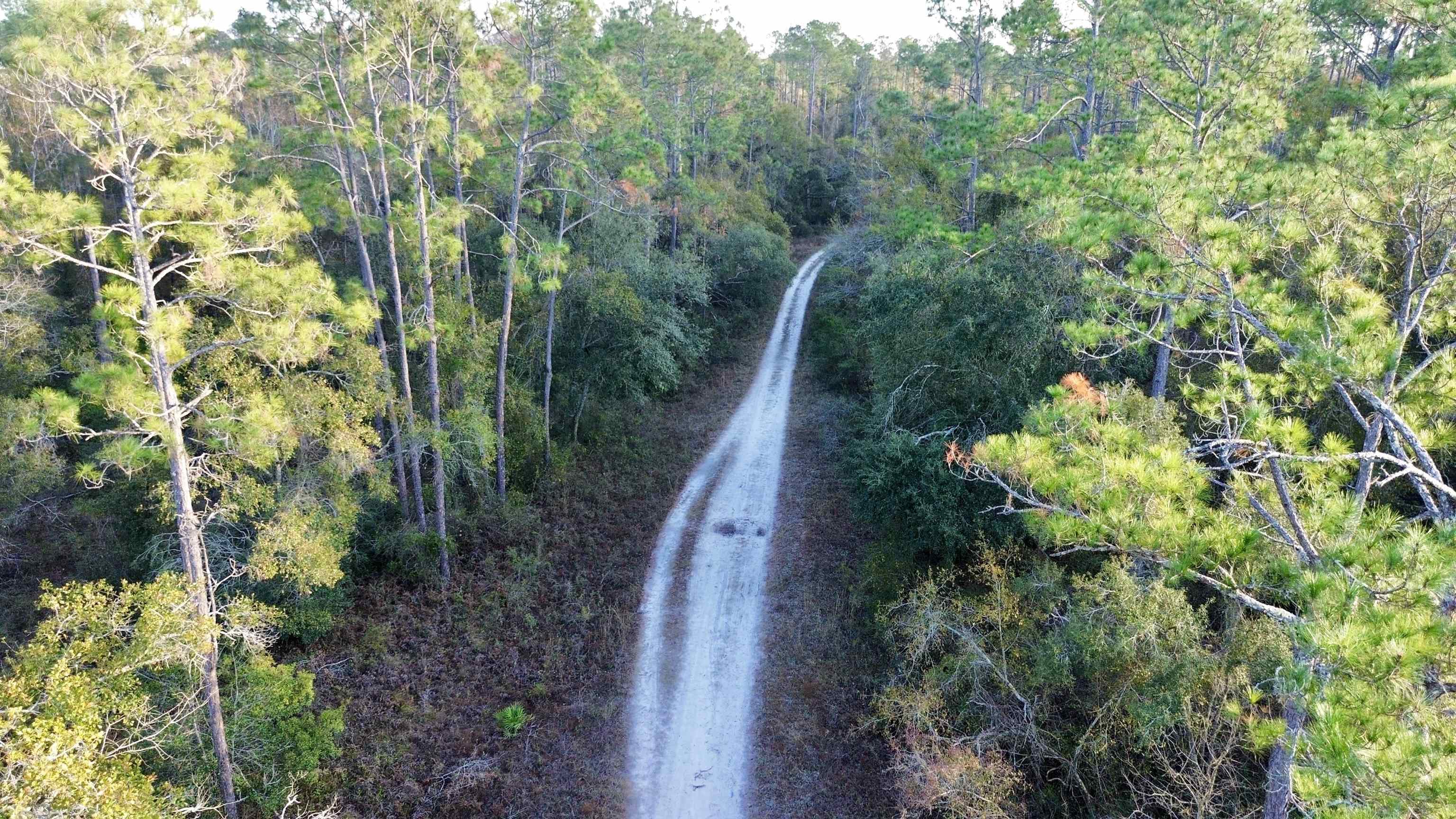 465 Northeast River Ridge Way Lee, FL 32059 - Photo 18 of 31