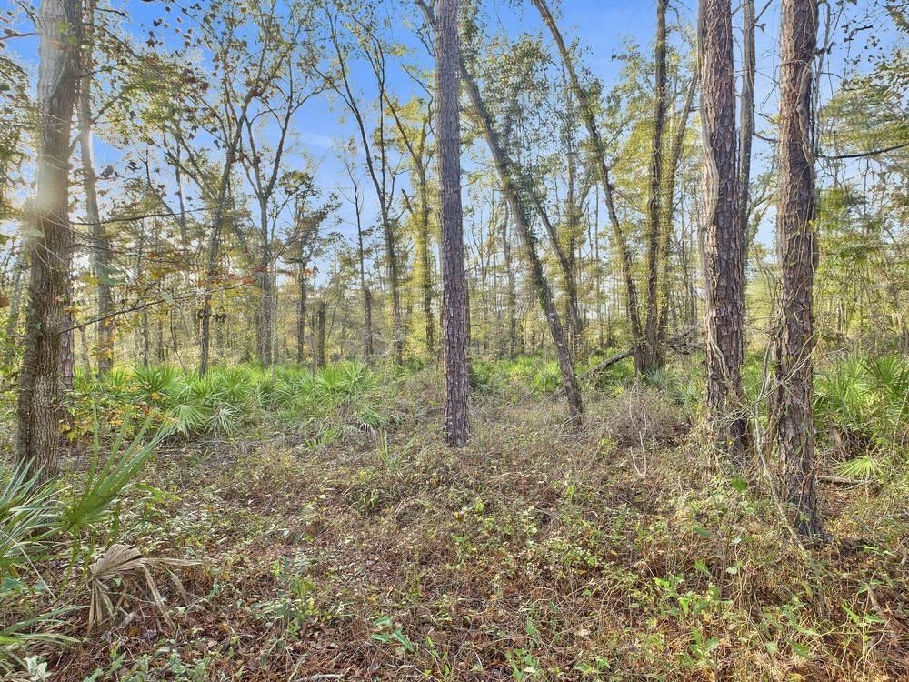 465 Northeast River Ridge Way Lee, FL 32059 - Photo 19 of 31