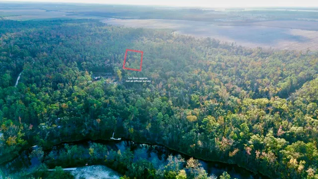 $35,000 | 465 Northeast River Ridge Way, Lee, FL 32059