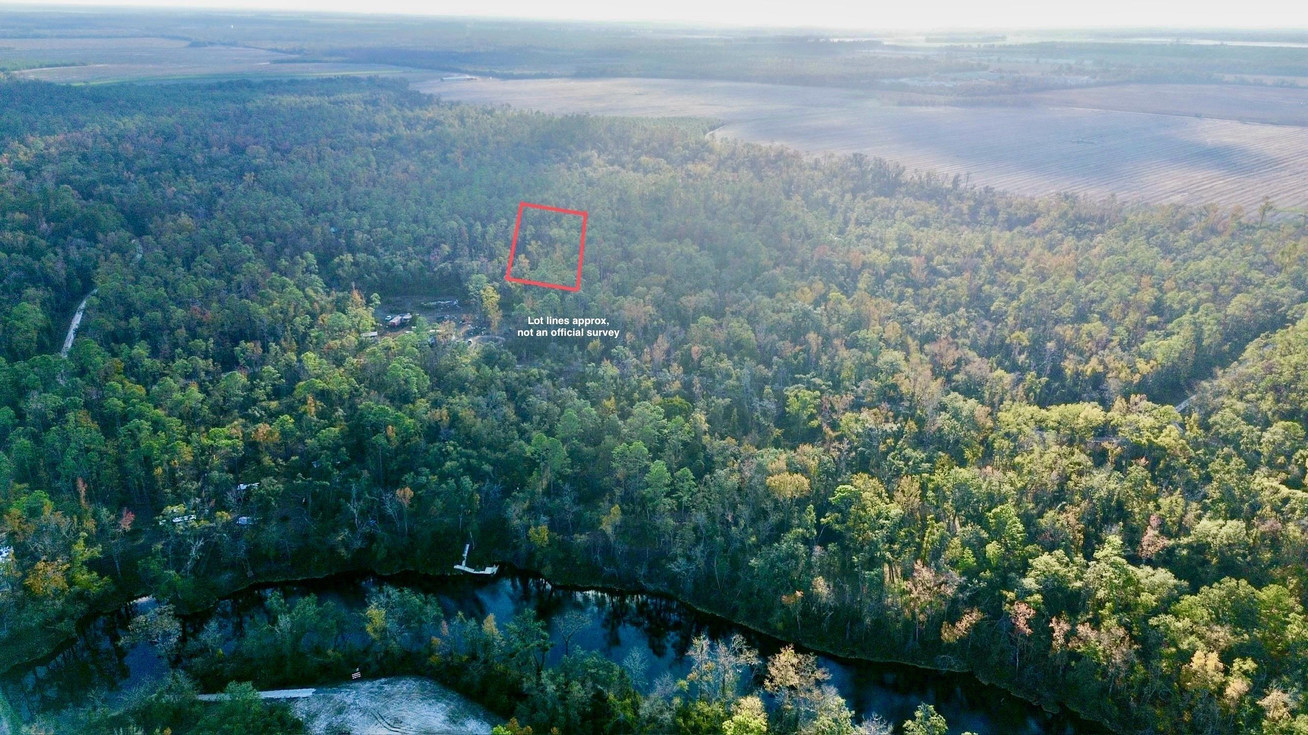 465 Northeast River Ridge Way Lee, FL 32059 - Photo 20 of 31