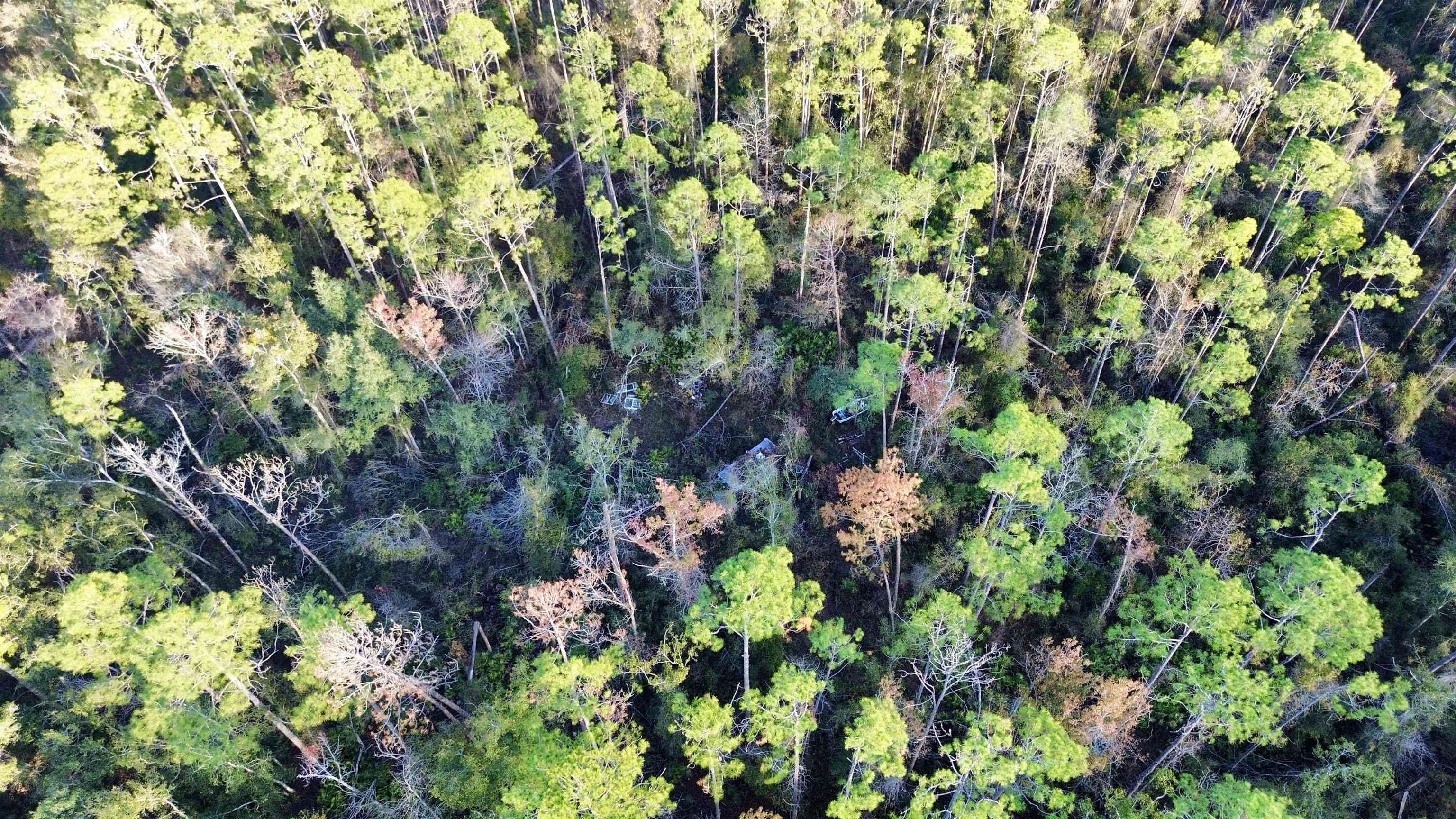 465 Northeast River Ridge Way Lee, FL 32059 - Photo 2 of 31