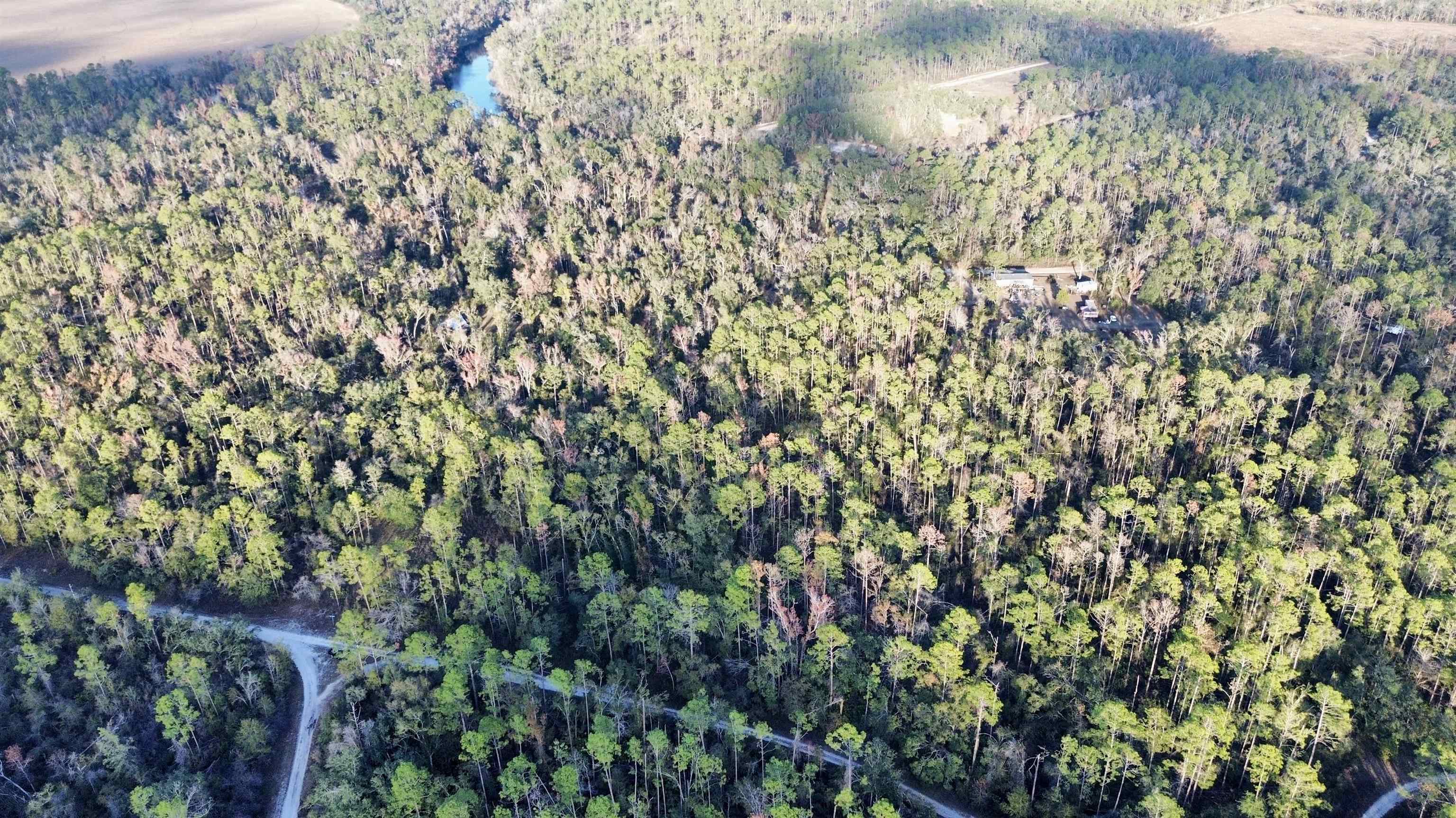 465 Northeast River Ridge Way Lee, FL 32059 - Photo 21 of 31