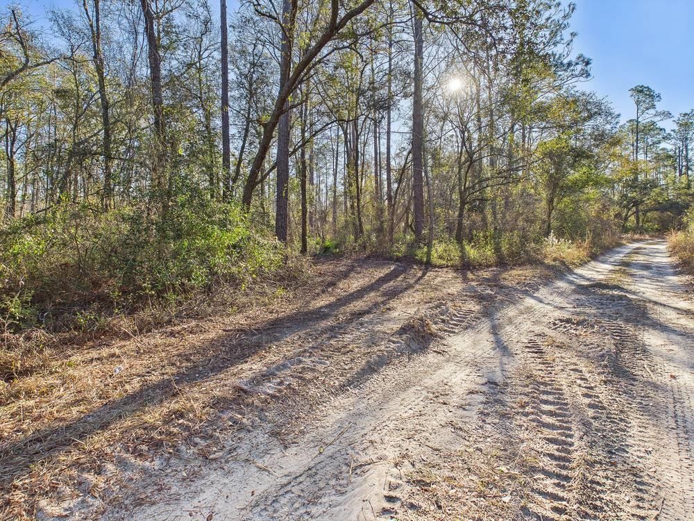 465 Northeast River Ridge Way Lee, FL 32059 - Photo 22 of 30