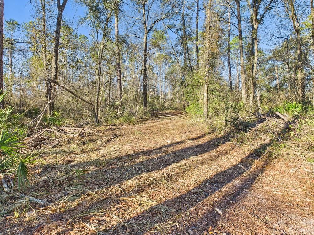 465 Northeast River Ridge Way Lee, FL 32059 - Photo 23 of 30