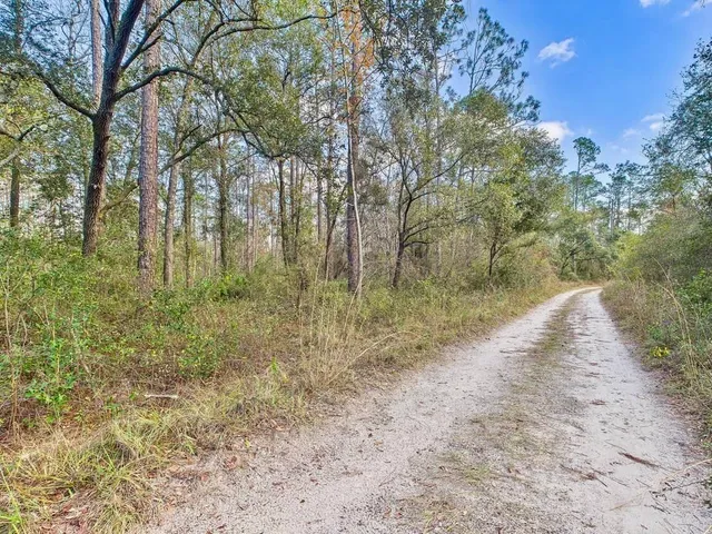 $35,000 | 465 Northeast River Ridge Way, Lee, FL 32059