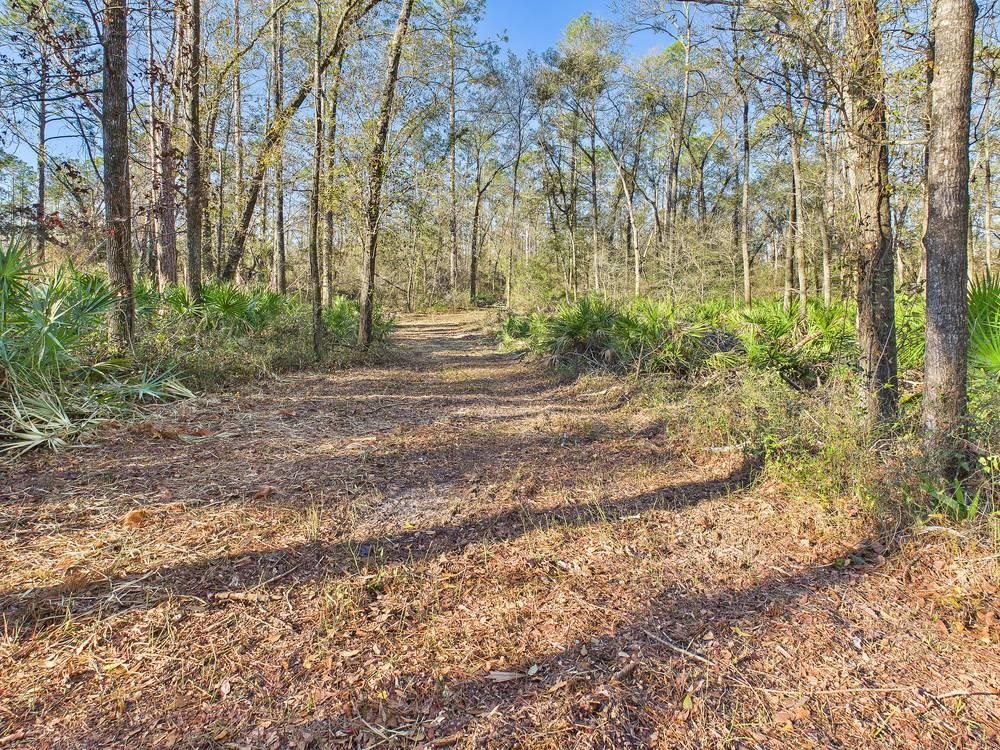 465 Northeast River Ridge Way Lee, FL 32059 - Photo 24 of 30