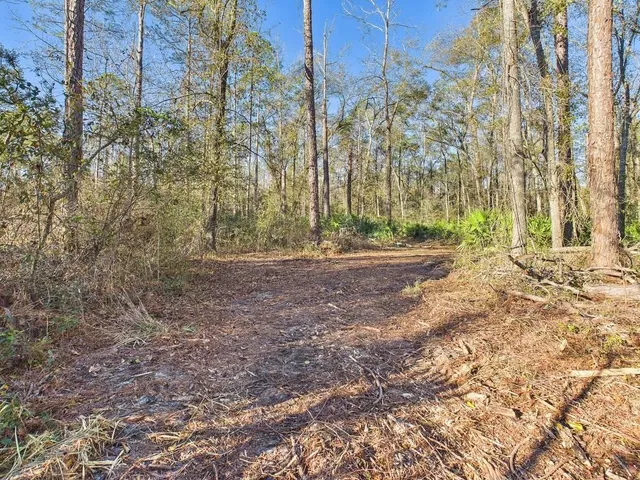 $35,000 | 465 Northeast River Ridge Way, Lee, FL 32059