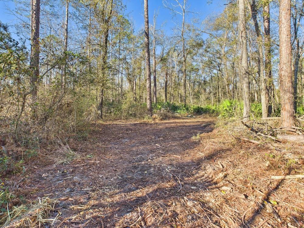 465 Northeast River Ridge Way Lee, FL 32059 - Photo 25 of 30