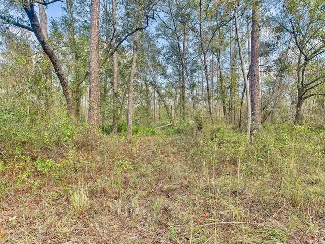 $35,000 | 465 Northeast River Ridge Way, Lee, FL 32059