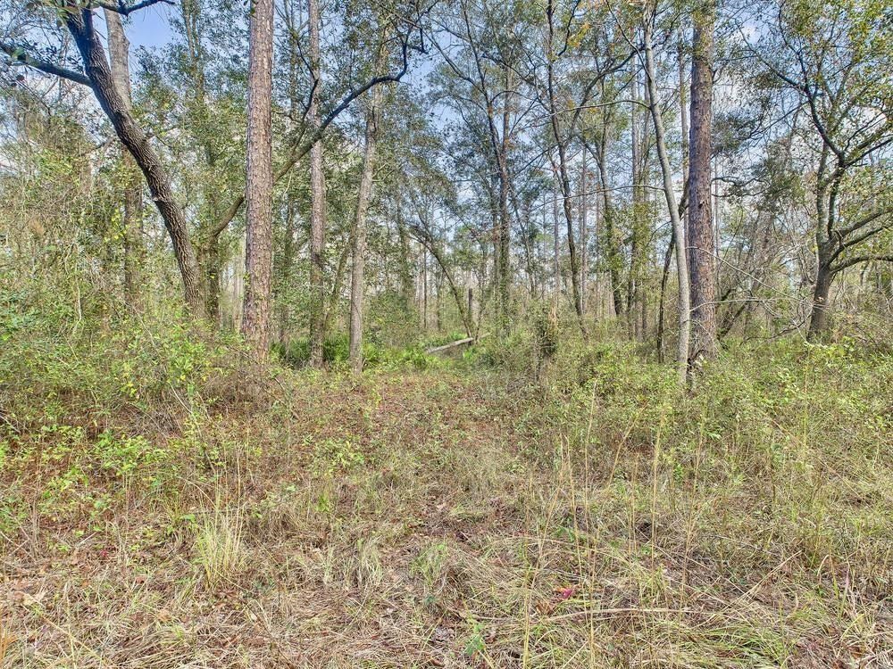 465 Northeast River Ridge Way Lee, FL 32059 - Photo 25 of 31