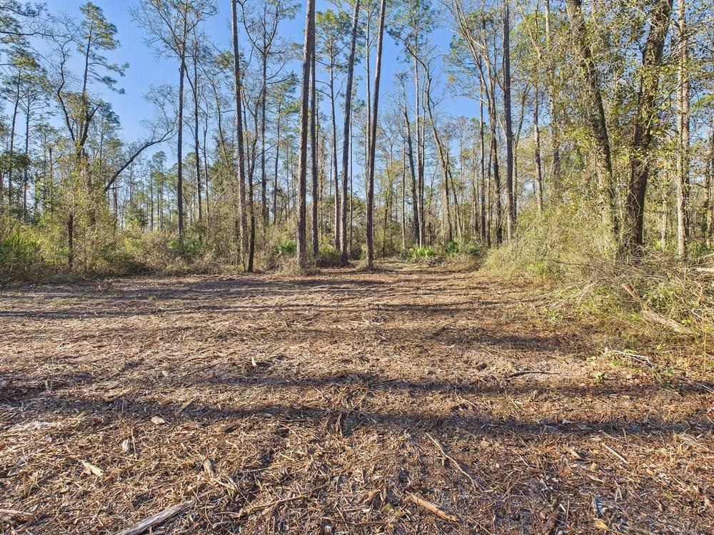 465 Northeast River Ridge Way Lee, FL 32059 - Photo 26 of 30