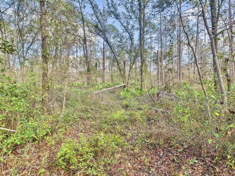 465 Northeast River Ridge Way Lee, FL 32059 - Photo 26 of 31