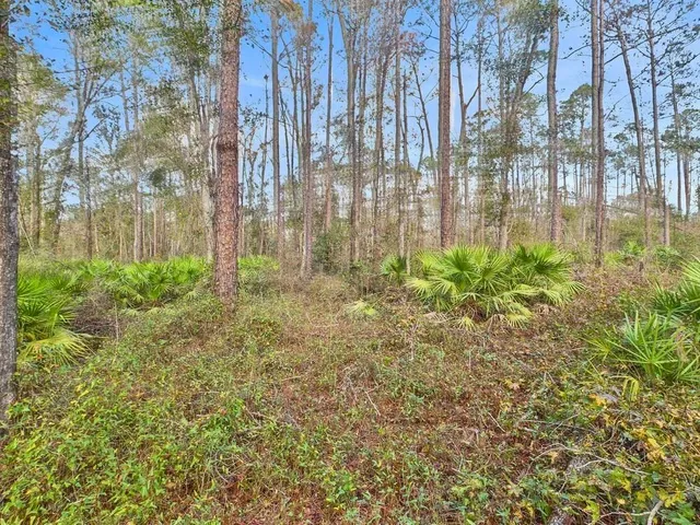 $35,000 | 465 Northeast River Ridge Way, Lee, FL 32059