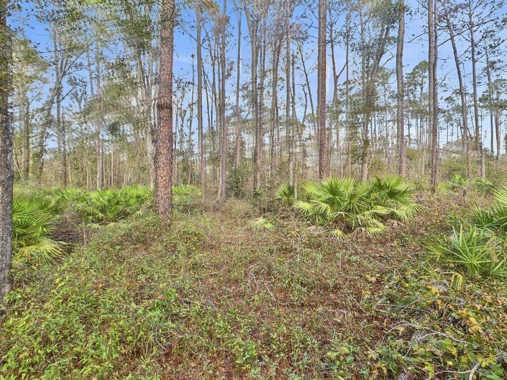 465 Northeast River Ridge Way Lee, FL 32059 - Photo 27 of 31