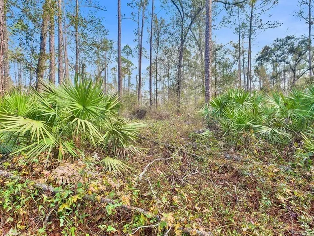 $35,000 | 465 Northeast River Ridge Way, Lee, FL 32059