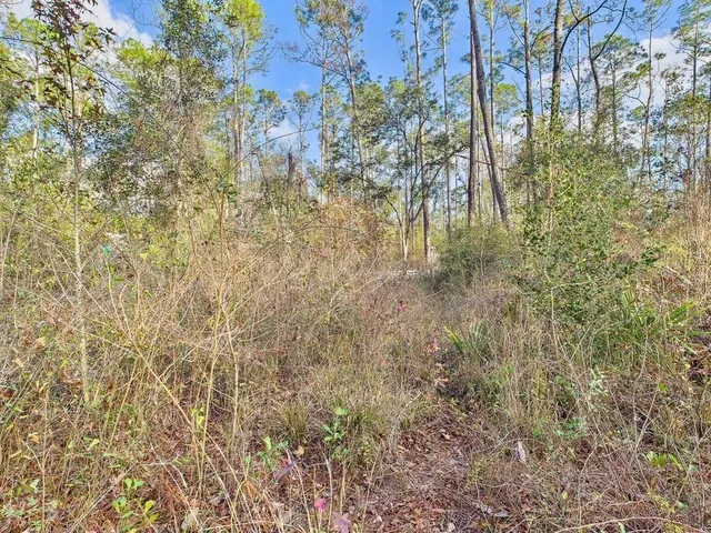 $35,000 | 465 Northeast River Ridge Way, Lee, FL 32059