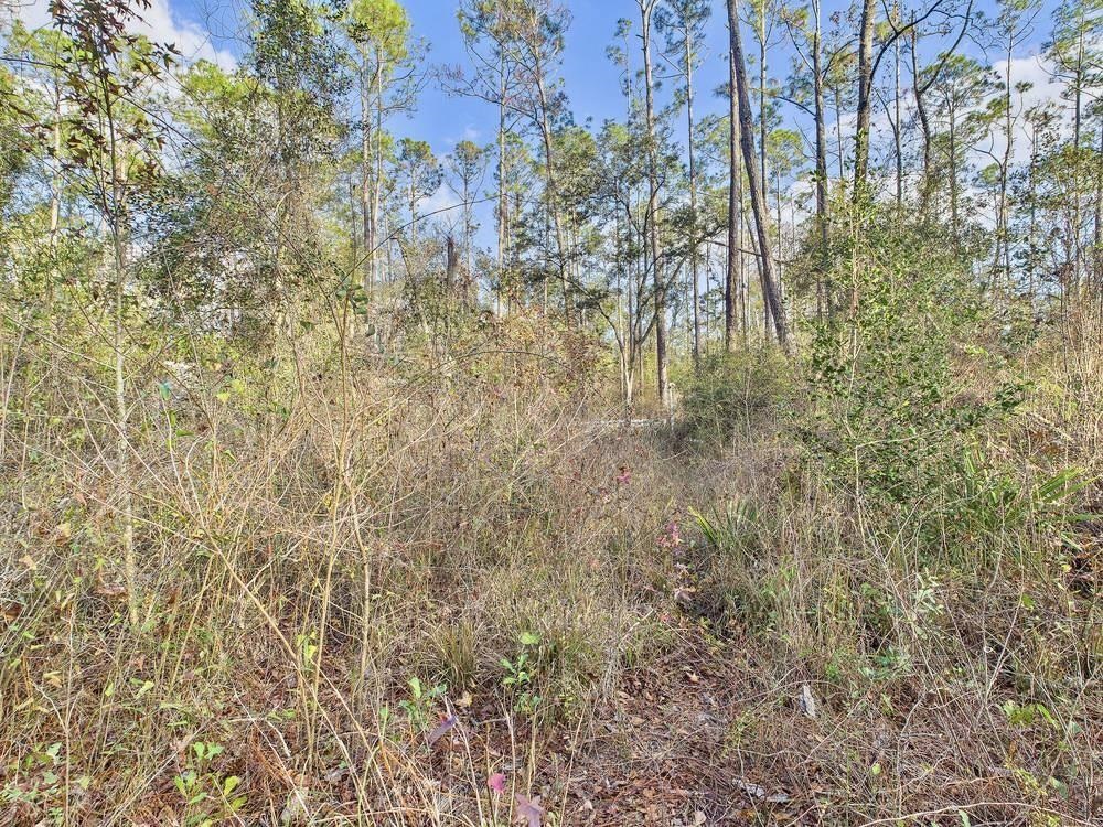 465 Northeast River Ridge Way Lee, FL 32059 - Photo 29 of 31