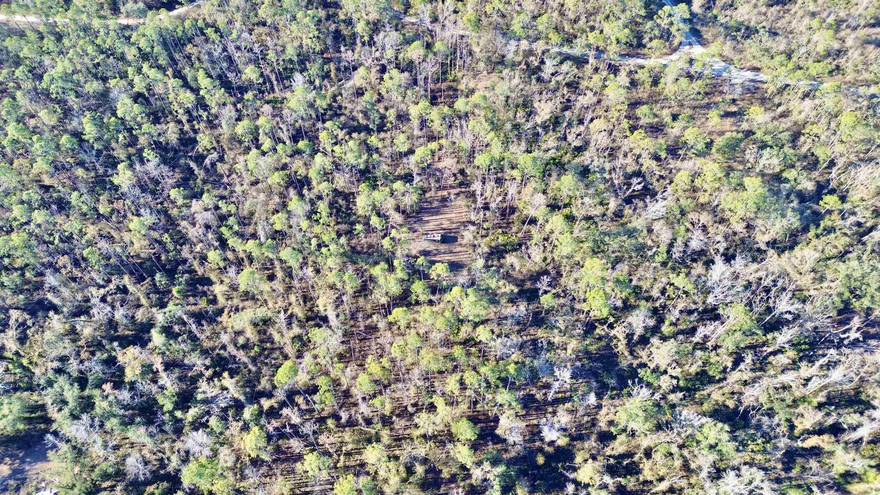 465 Northeast River Ridge Way Lee, FL 32059 - Photo 30 of 30