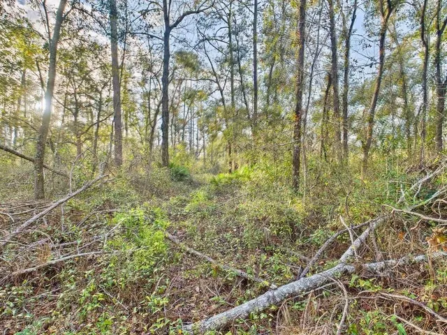 $35,000 | 465 Northeast River Ridge Way, Lee, FL 32059