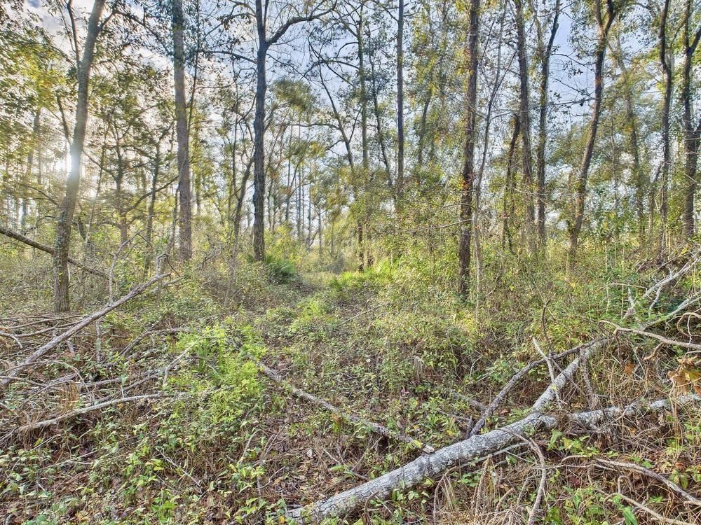 465 Northeast River Ridge Way Lee, FL 32059 - Photo 30 of 31