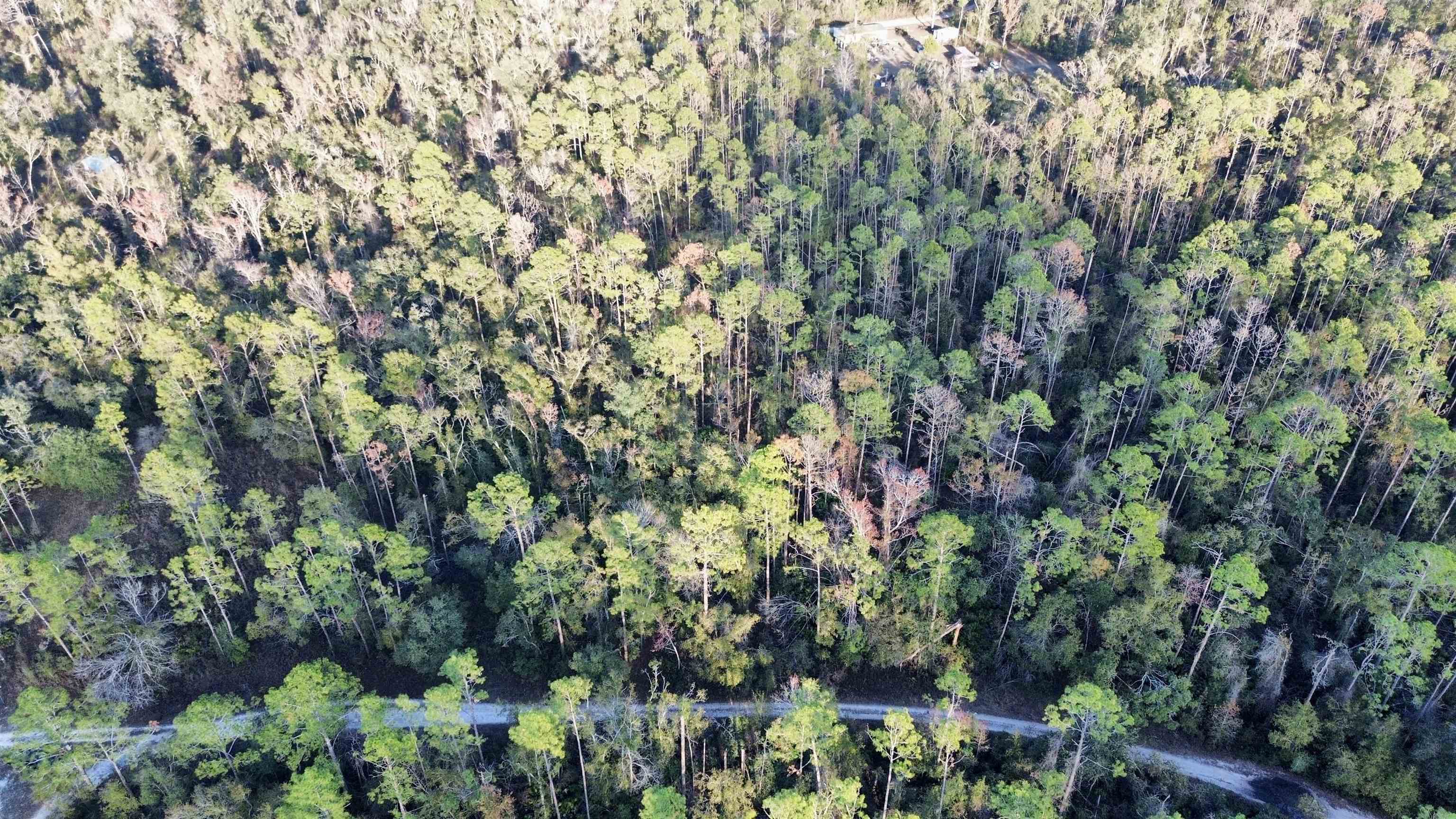 465 Northeast River Ridge Way Lee, FL 32059 - Photo 3 of 31