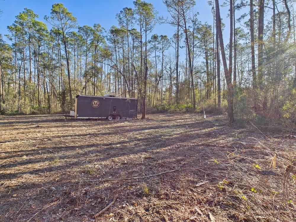 465 Northeast River Ridge Way Lee, FL 32059 - Photo 3 of 30