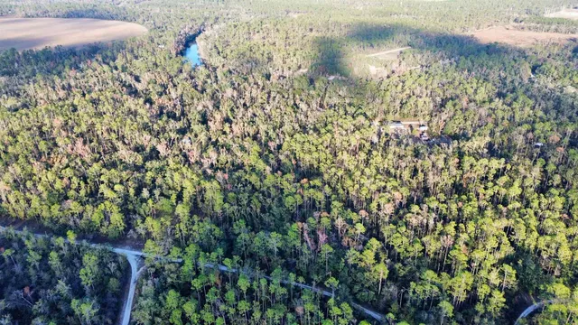 $35,000 | 465 Northeast River Ridge Way, Lee, FL 32059