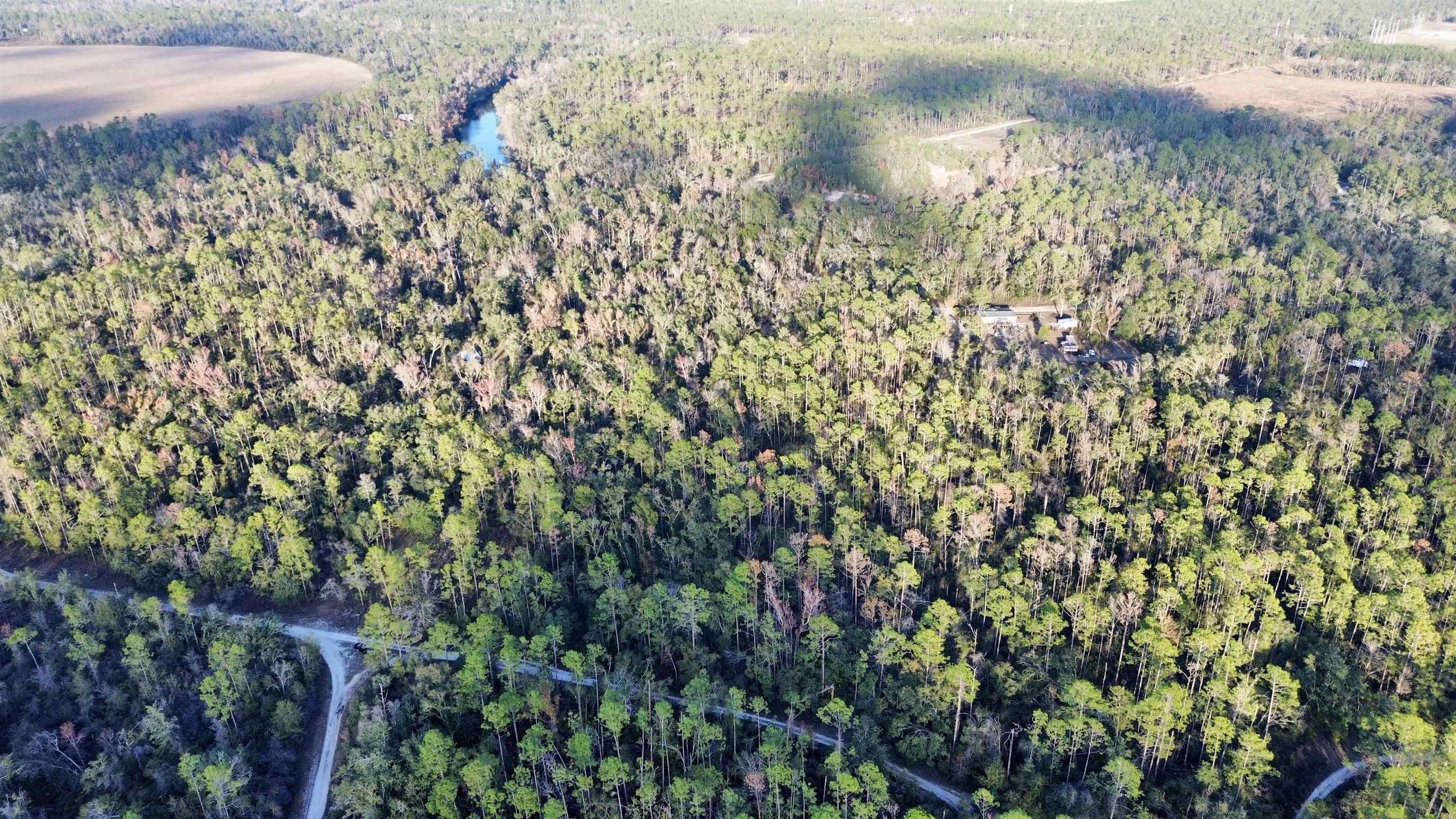 465 Northeast River Ridge Way Lee, FL 32059 - Photo 31 of 31