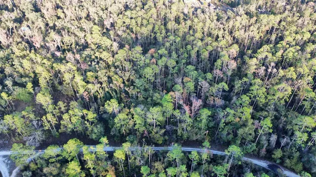 $35,000 | 465 Northeast River Ridge Way, Lee, FL 32059