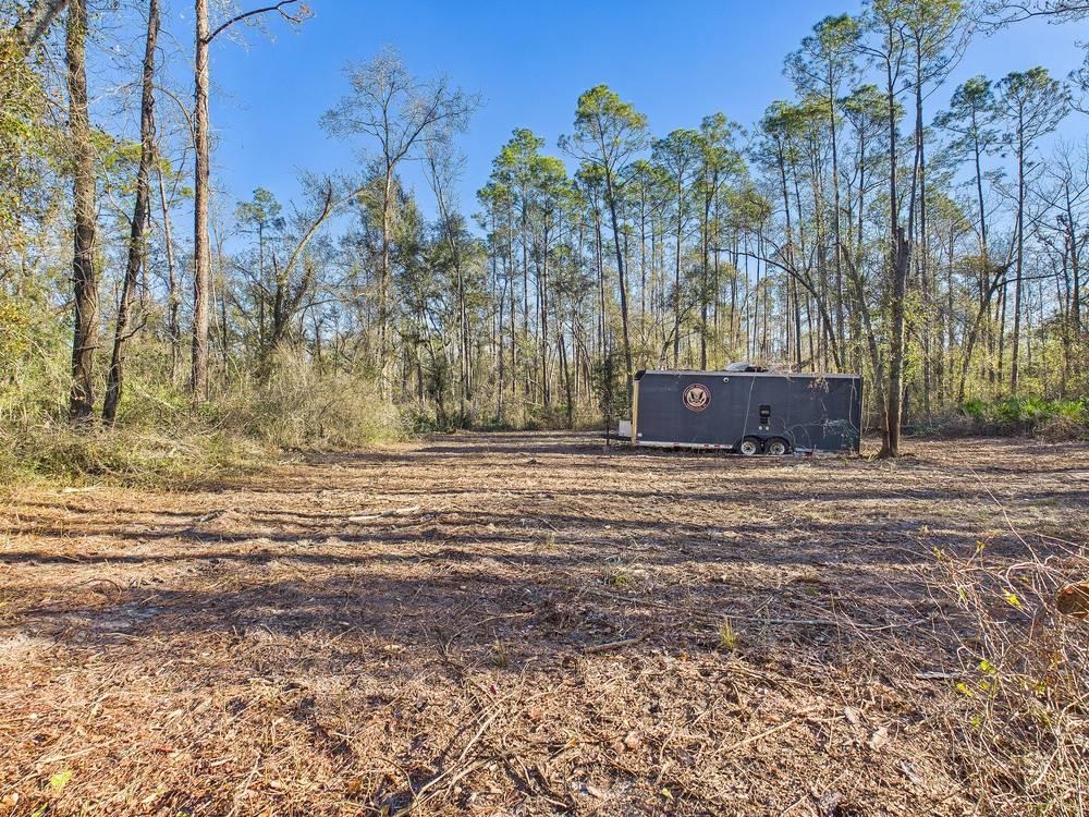 465 Northeast River Ridge Way Lee, FL 32059 - Photo 5 of 30