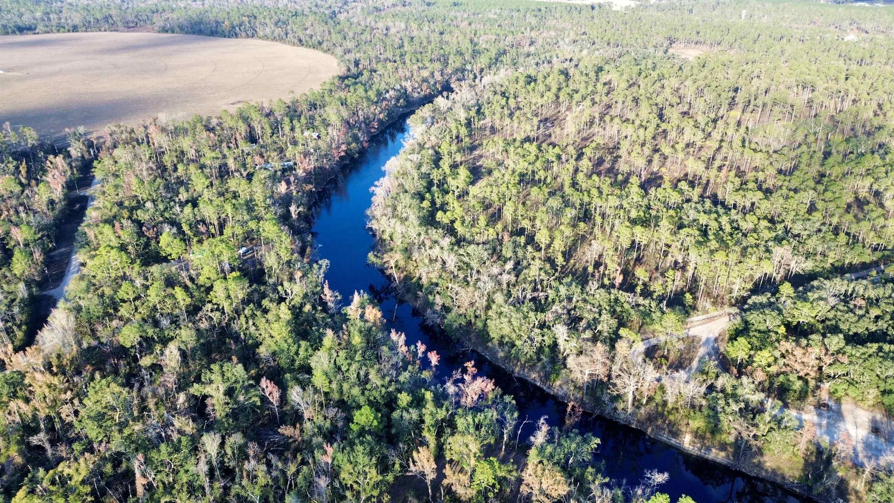 465 Northeast River Ridge Way Lee, FL 32059 - Photo 6 of 31