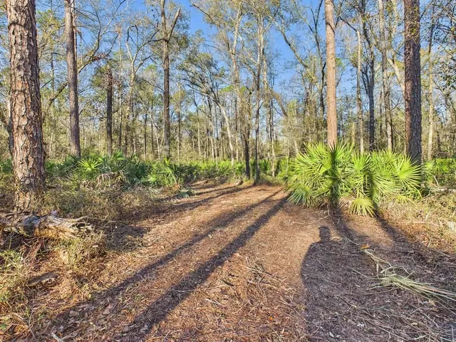 $35,000 | 465 Northeast River Ridge Way, Lee, FL 32059