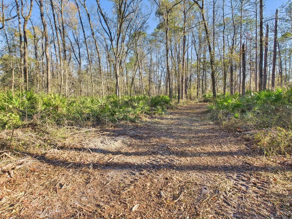 465 Northeast River Ridge Way Lee, FL 32059 - Photo 8 of 30