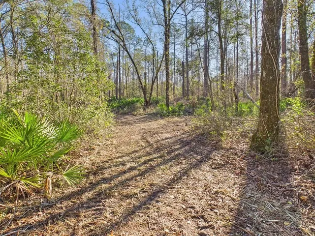 $35,000 | 465 Northeast River Ridge Way, Lee, FL 32059