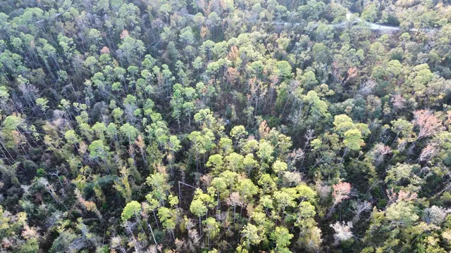 $35,000 | 465 Northeast River Ridge Way, Lee, FL 32059