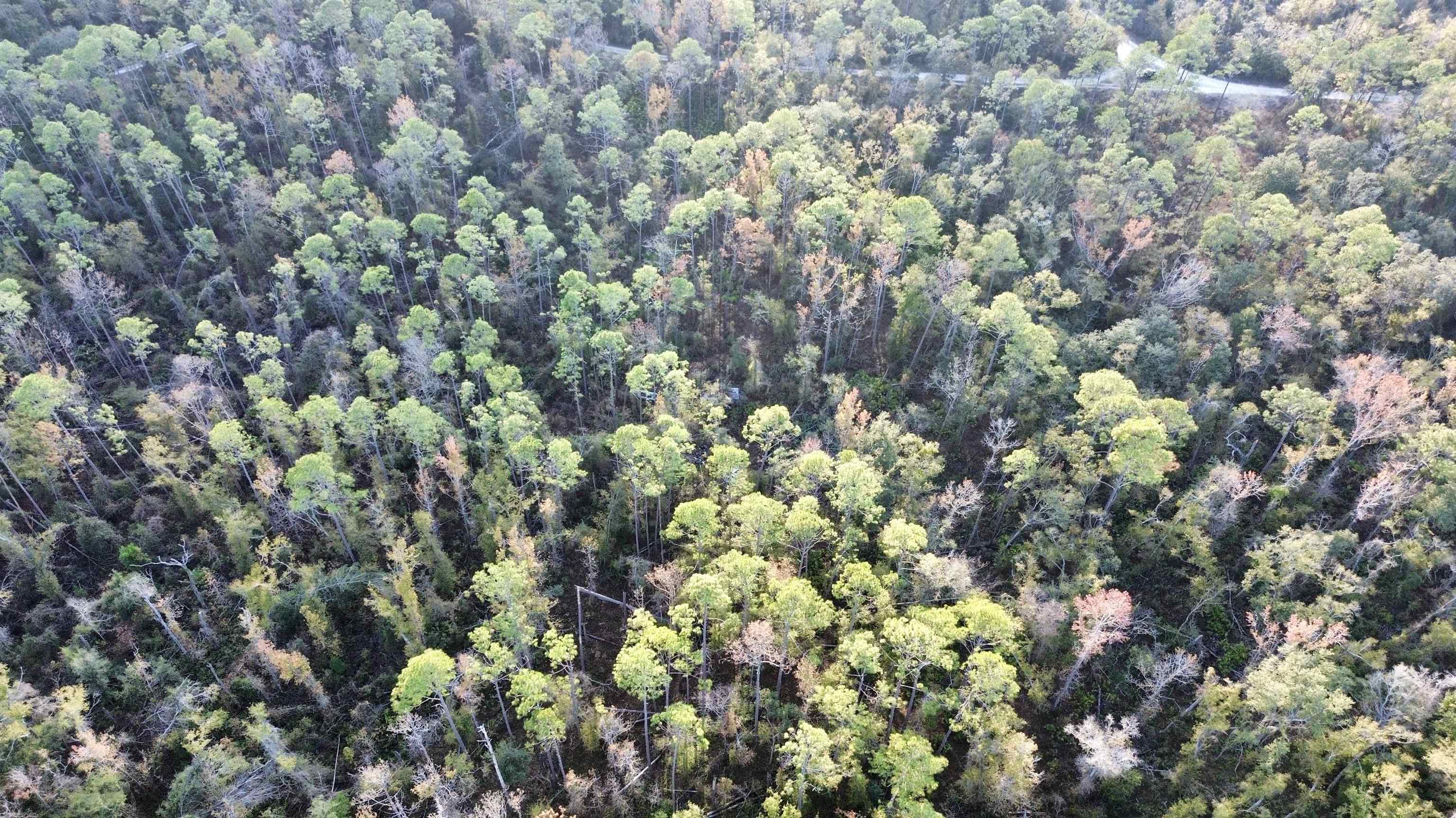 465 Northeast River Ridge Way Lee, FL 32059 - Photo 9 of 31