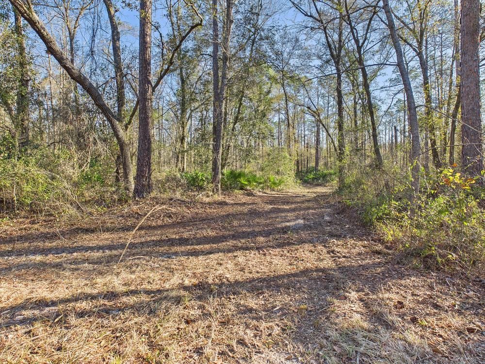 465 Northeast River Ridge Way Lee, FL 32059 - Photo 10 of 30